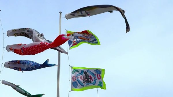 【東京都港区】東京タワーで、333匹の鯉のぼりが泳ぐ景色と夜桜のプロジェクションマッピングを堪能