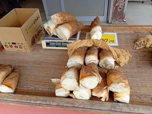 千弥農園のタケノコ直売所