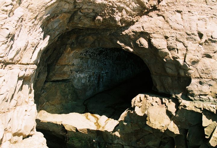 チョータンタン