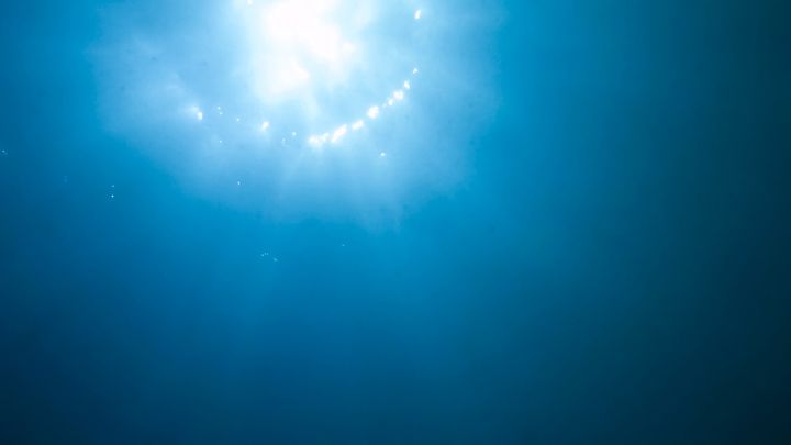 チョータンタン