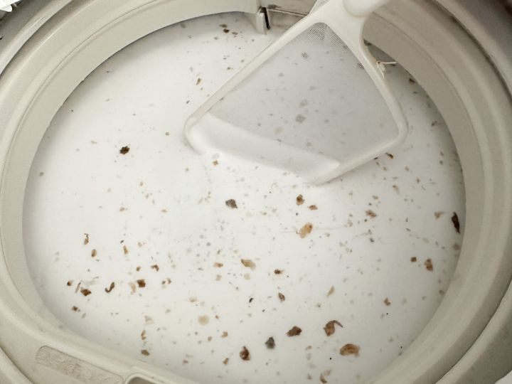 浮いてきた黒わかめを取り除く