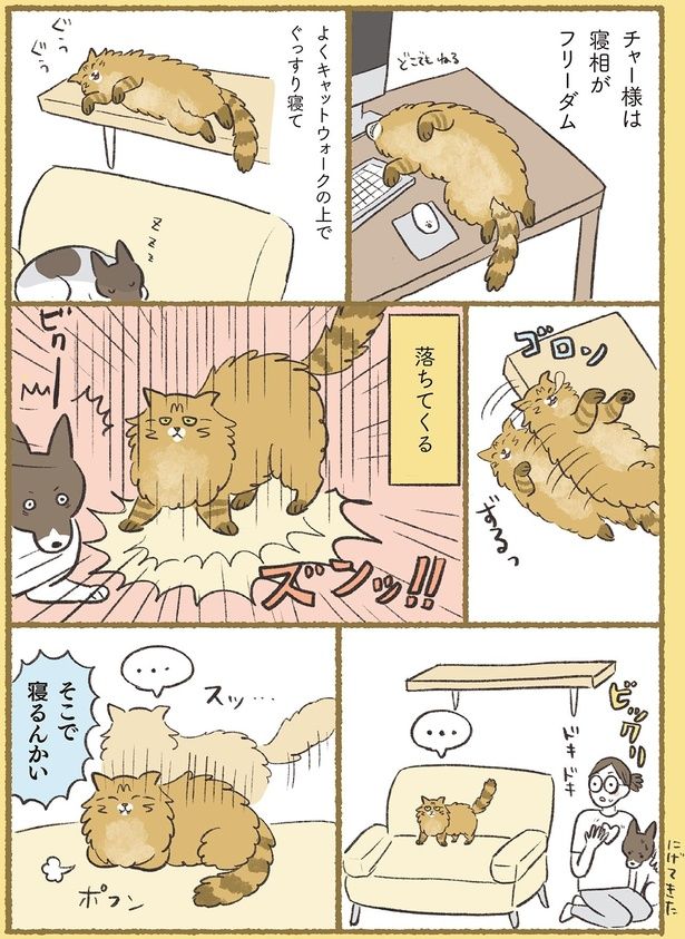 そこで寝るんかい （C）ふじもりはる／KADOKAWA