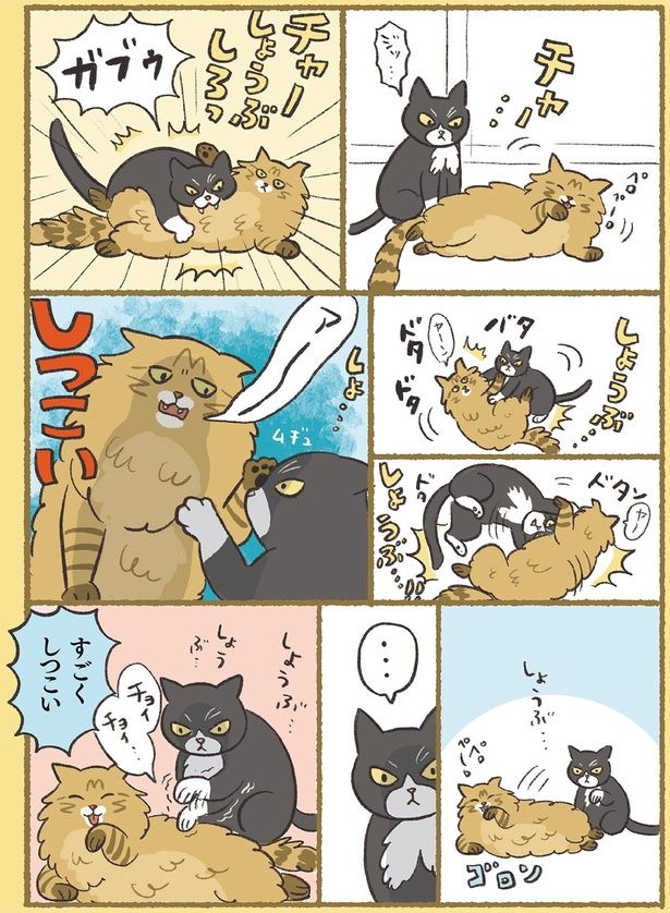 しつこい （C）ふじもりはる／KADOKAWA