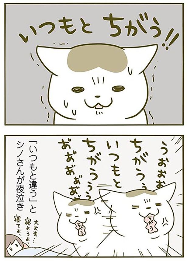 いつもとちがう!! （C）卵山玉子／KADOKAWA