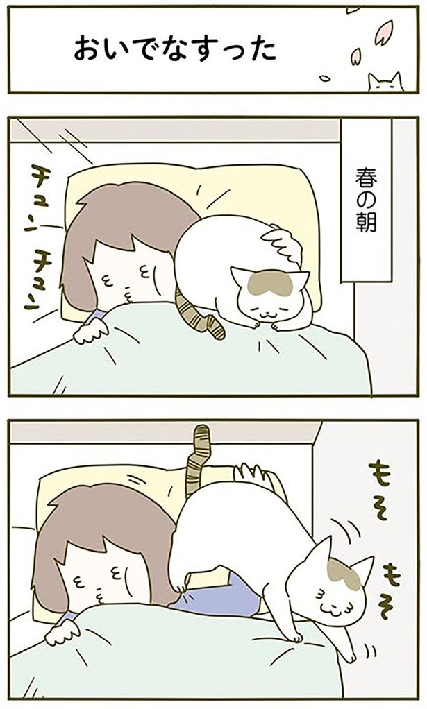 おいでなすった （C）卵山玉子／KADOKAWA