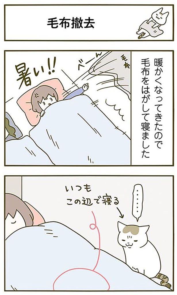 毛布撤去 （C）卵山玉子／KADOKAWA