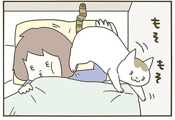 春の日の朝 （C）卵山玉子／KADOKAWA