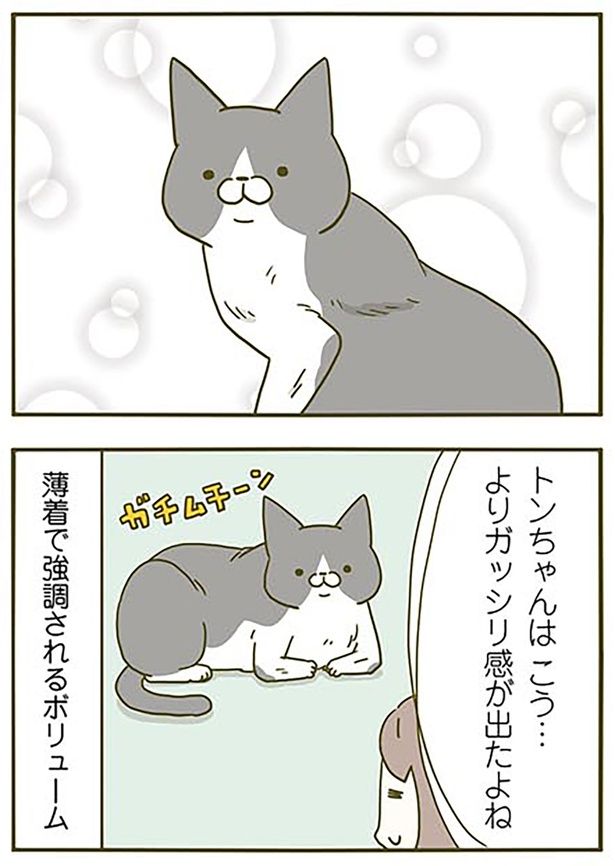 ガチムチーン （C）卵山玉子／KADOKAWA