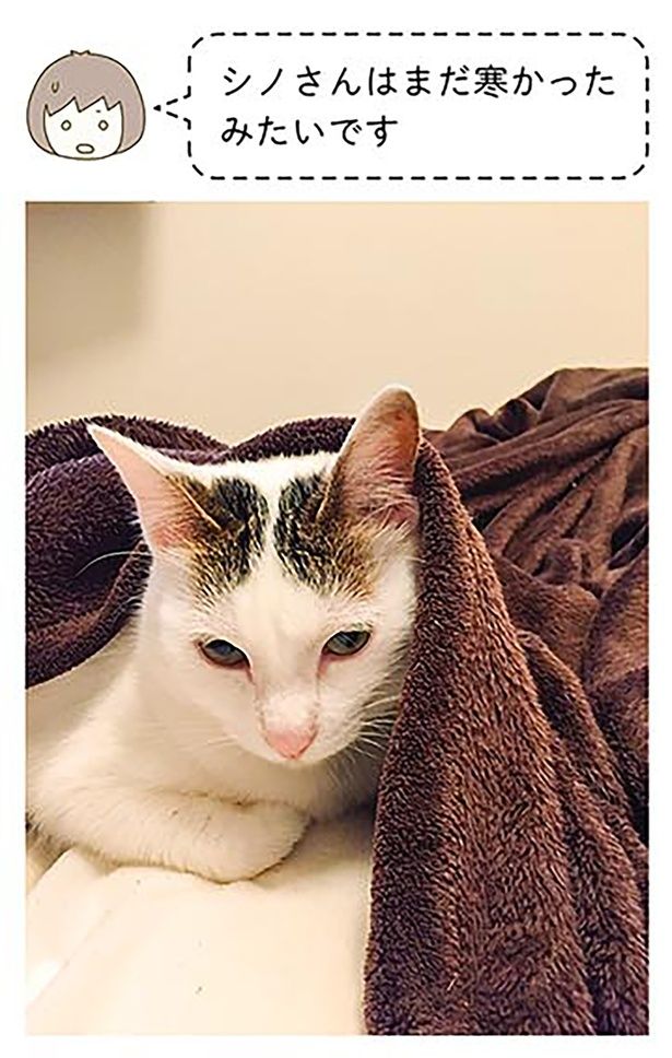 まだ寒かったみたい （C）卵山玉子／KADOKAWA