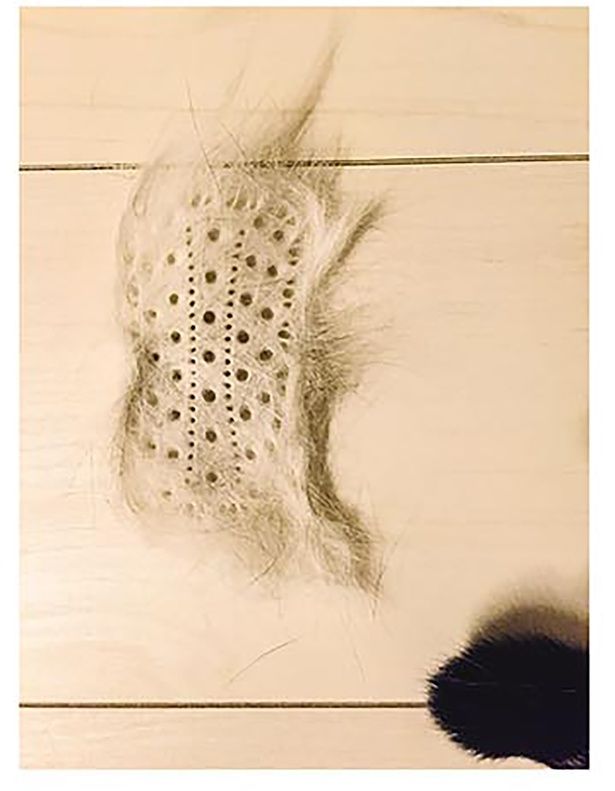 ブラシの形の抜け毛 （C）卵山玉子／KADOKAWA