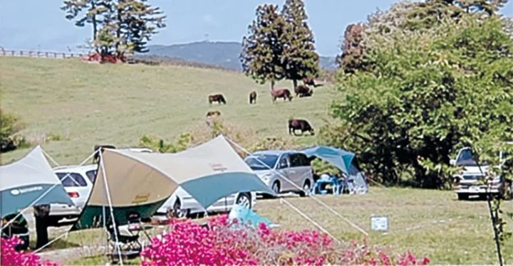 AC電源のあるキャンプ場11選【愛知県】