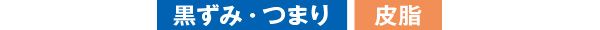 黒ずみ・つまり 皮脂