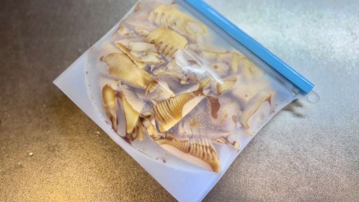 時短調理の神アイテム「シリコンバッグ」は100均でゲット！使い勝手を徹底調査【ダイソー・キャンドゥ】