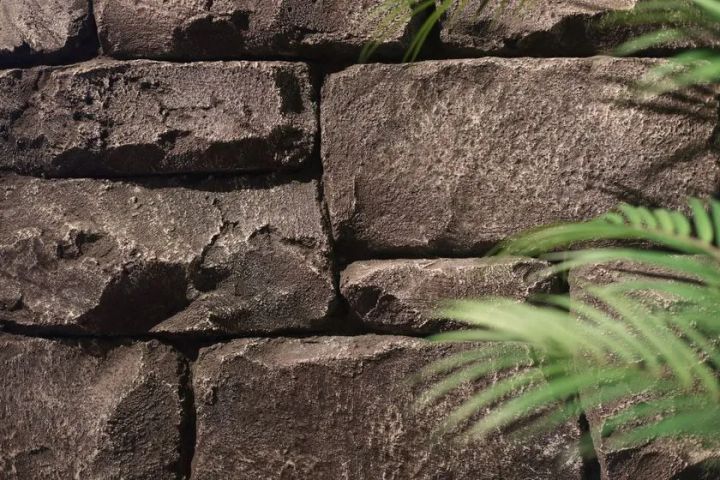 左官技術を生かしたモルタル造形の壁面