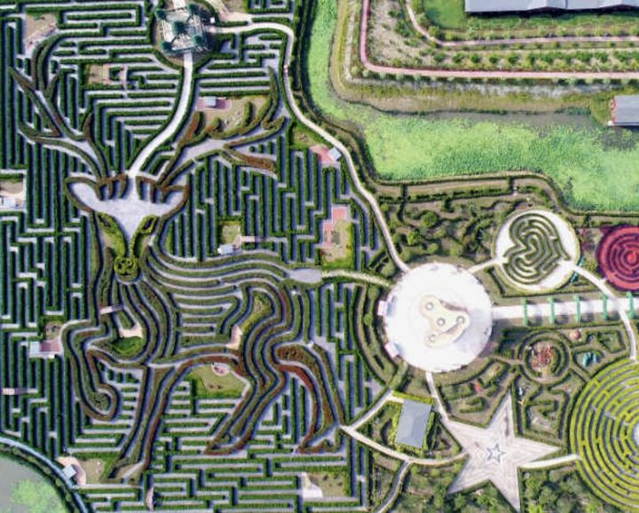 Aerial view of a geometric hedge maze with winding paths and central circular plaza featuring star and heart motifs.
