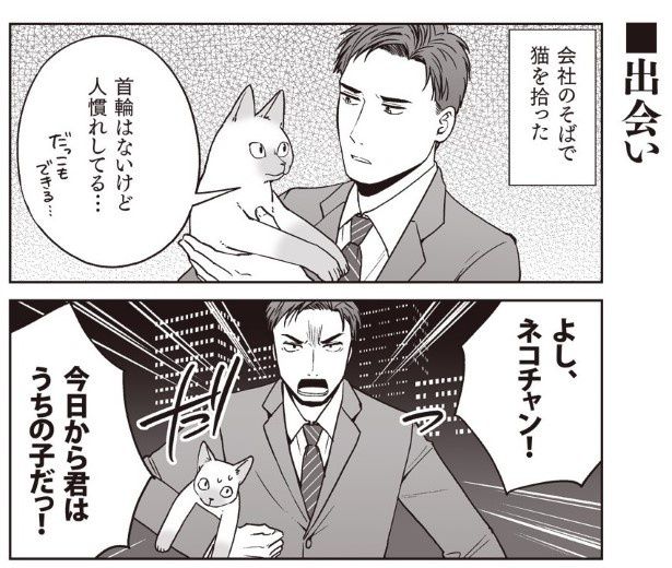 どこかで猫を拾うことがあったら、そのときは飼おうと心に決めていた 春日有(@arikasuga）