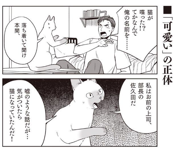 このかわいいネコチャンが部長だとは思いたくない!! 春日有(@arikasuga）