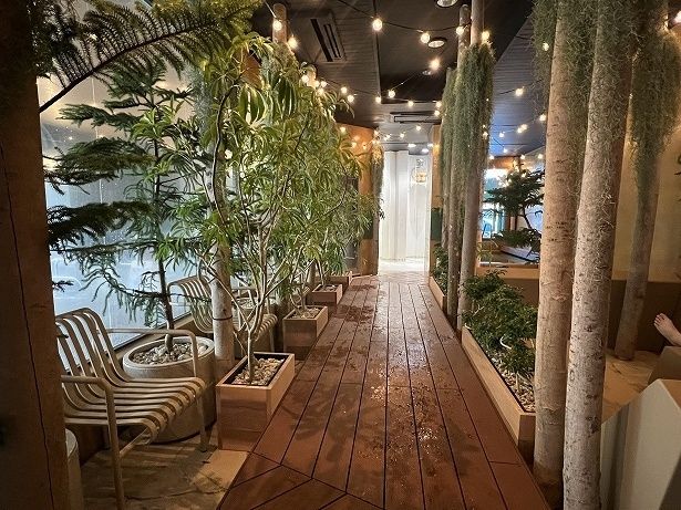 フィンランドの白樺の森をイメージした空間