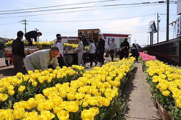 【富山県砺波市】350万本が咲き誇る、となみチューリップフェア開催！大花壇の地上絵など圧巻の景観