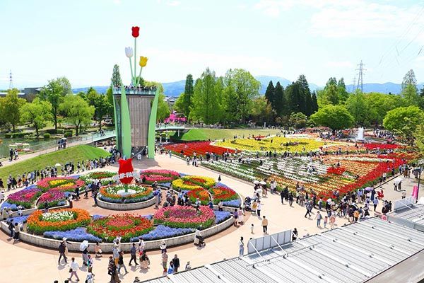 【富山県砺波市】350万本が咲き誇る、となみチューリップフェア開催！大花壇の地上絵など圧巻の景観