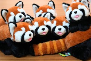 市川市動植物園の飼育員が監修！！ ガーデンオアシスで販売中の