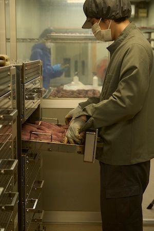 【千葉県香取市】さつまいもブランド「金蜜芋」の石田農園が新会社設立、加工事業を本格化