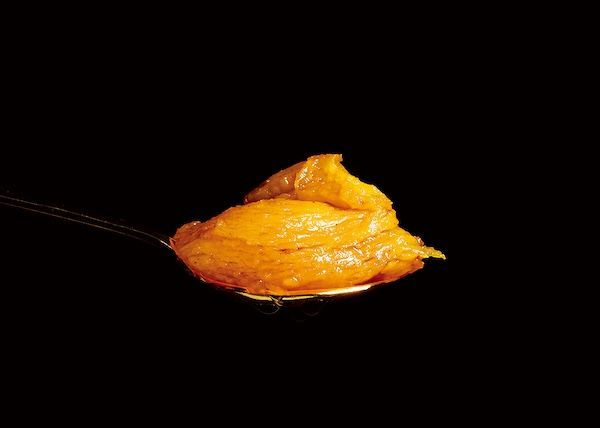 【千葉県香取市】さつまいもブランド「金蜜芋」の石田農園が新会社設立、加工事業を本格化