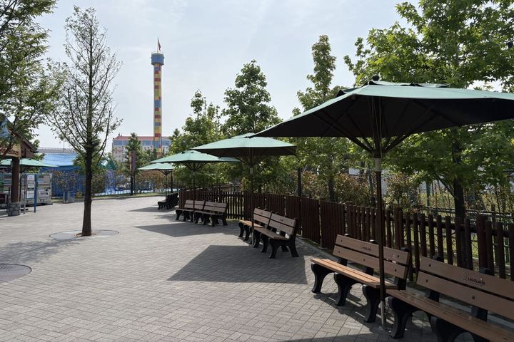 パーク内パラソル