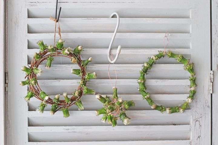 タンポポの綿毛リース