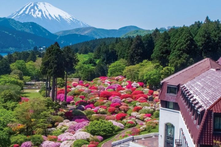 つつじ・しゃくなげフェア2026