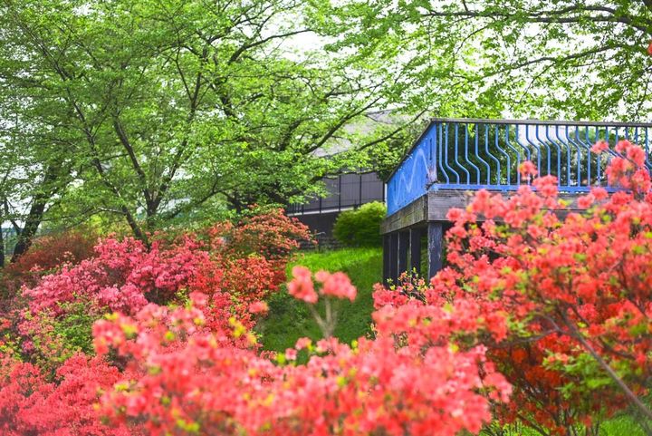 狭山稲荷山公園