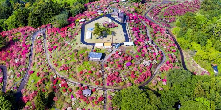 笠間つつじまつり