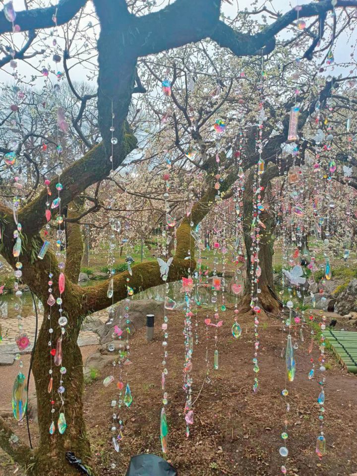  北野天満宮では、蜷川実花さんのイベント「KYOTO NIPPON F ESTIVAL 2026」に遭遇。