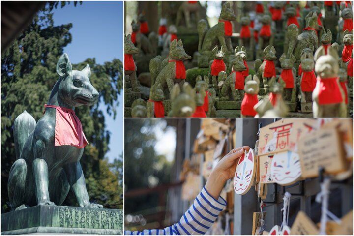 名物いなり寿司やスイーツの食べ歩きも楽しい♪愛知・豊川稲荷参道さんぽ