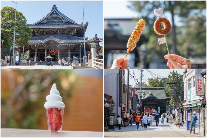 名物いなり寿司やスイーツの食べ歩きも楽しい♪愛知・豊川稲荷参道さんぽ
