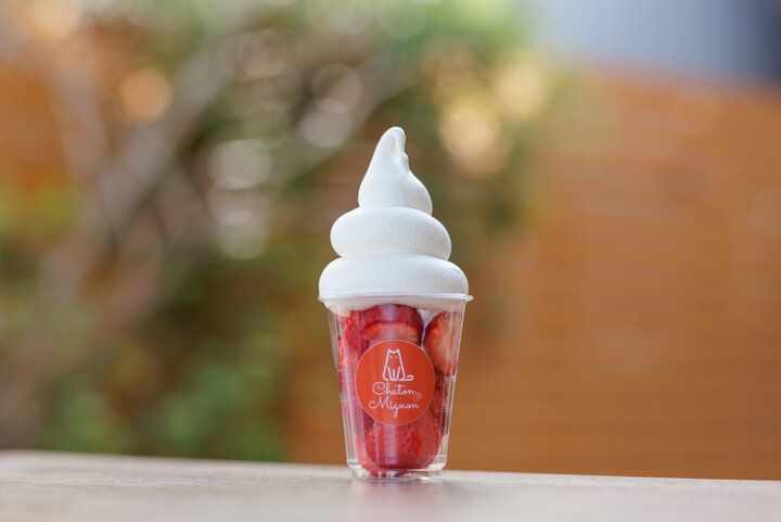 名物いなり寿司やスイーツの食べ歩きも楽しい♪愛知・豊川稲荷参道さんぽ