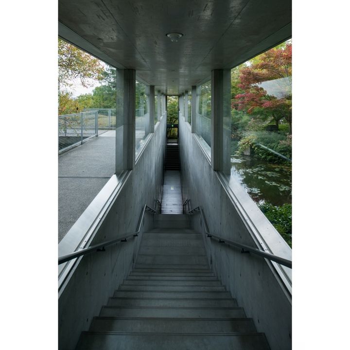 安藤忠雄設計「地中の宝石箱」（地中館）