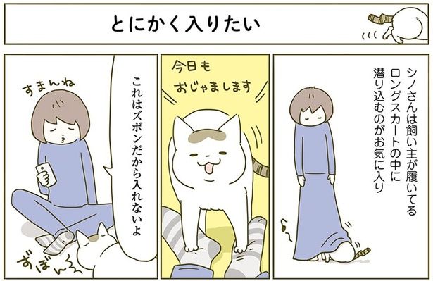 とにかく入りたい （C）卵山玉子／KADOKAWA