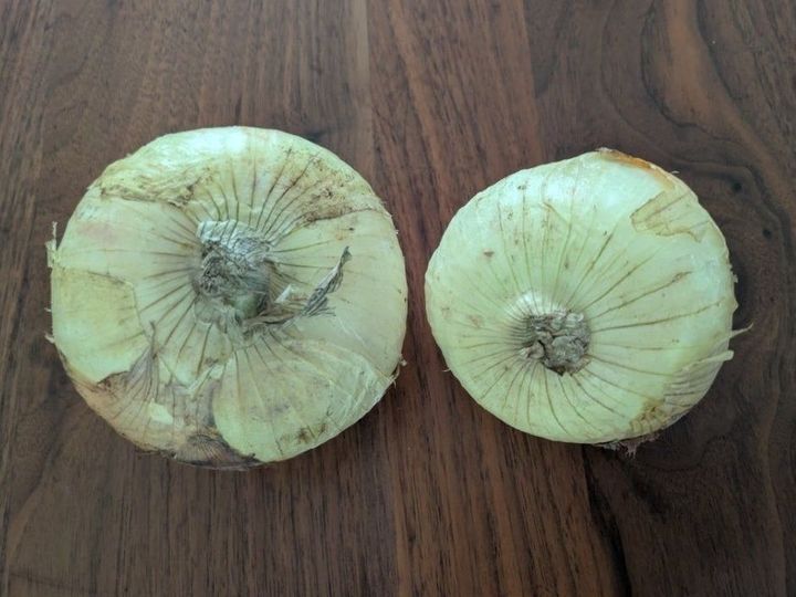 今が旬の、新玉ねぎ！！