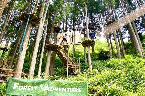 森林を最大限に活用したさまざまなコンテンツが楽しめる「アドベンチャーバレーSAGA」 画像提供：アドベンチャーバレーSAGA (サガ)
