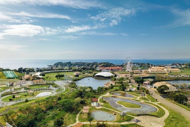東京ドーム約6個分の広大な敷地で一日中遊べる「長井海の手公園 ソレイユの丘」 画像提供：横須賀市