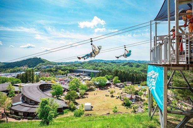 森とサーキットを結ぶ爽快な空中散歩を体感できる「モビリティリゾートもてぎ」の「メガジップライン つばさ」 画像提供：モビリティリゾートもてぎ