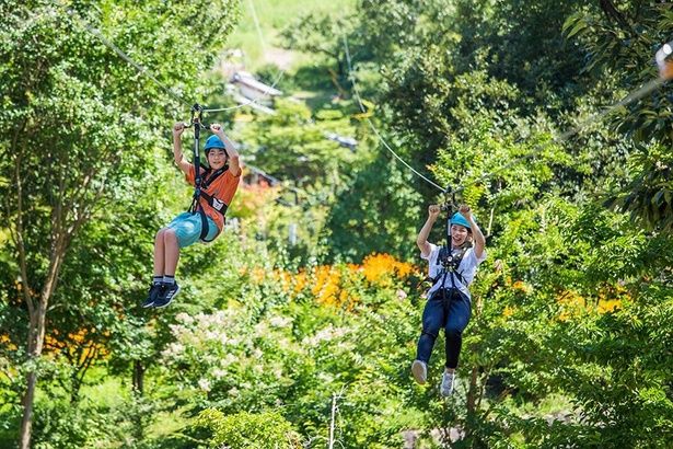 全長約333メートル、最高地上高約8メートルのジップラインなどが楽しめる「PANZAぎふ清流里山公園」 画像提供：PANZAぎふ清流里山公園