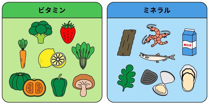 ミネラル・ビタミン
