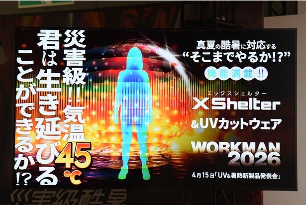 「いかにして45℃の過酷な環境で生き抜くか？」が課題 撮影：ソムタム田井