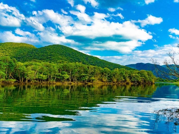 All About ニュース編集部が全国251人を対象に実施した「旅行先に関するアンケート」の調査結果から、【20代限定】春に行きたいと思う「鹿児島県の旅行先」ランキングを発表！ 2位「奄美大島」を抑えた1位は？