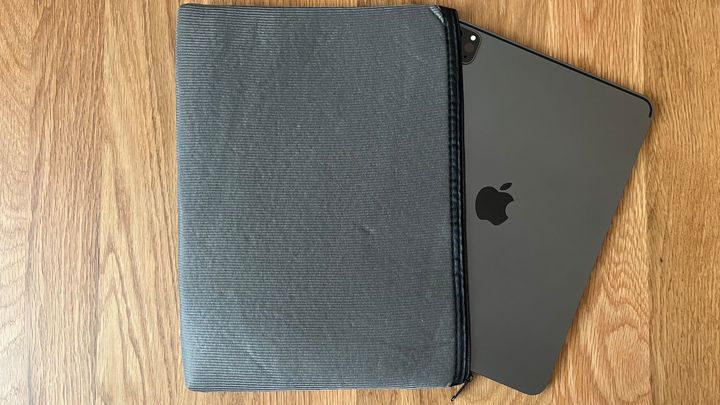 100均のiPadケースって実際どう？ダイソー・セリア・キャン★ドゥで買ってみた！