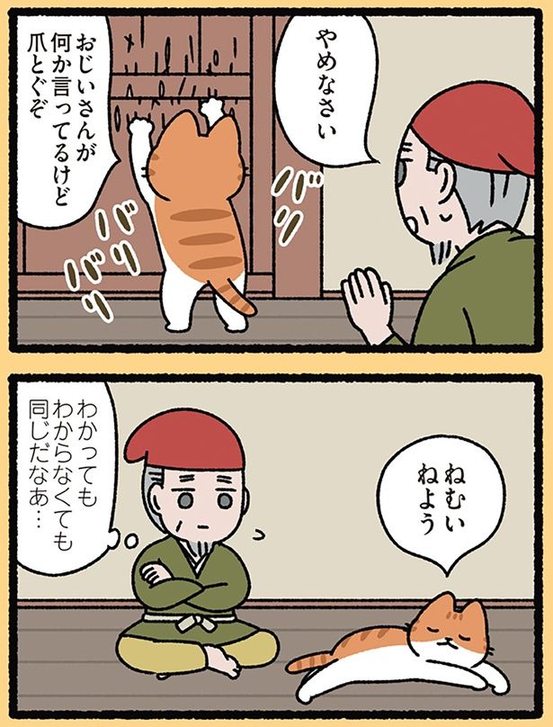 言葉がわかってもねこはねこ （C）ぱんだにあ／KADOKAWA
