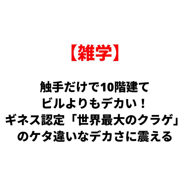 赤い囲みの『雑学』と大きな日本語見出し。触手だけで10階建て、ビル級の大きさと世界最大のクラゲを紹介するニュース風タイトル。