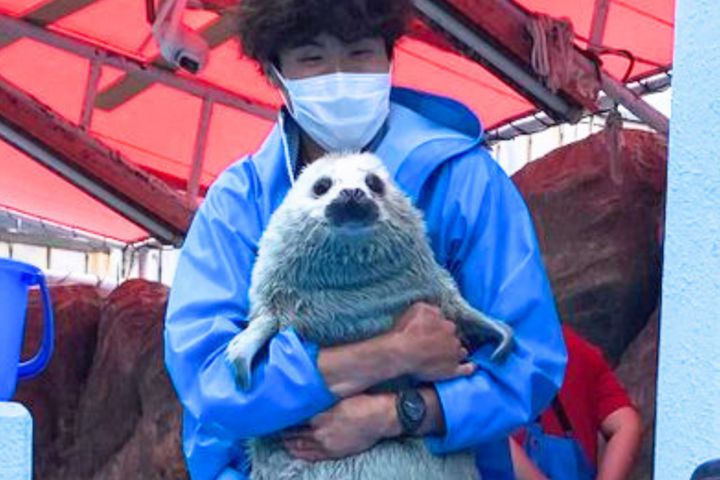 伊勢シーパラダイス提供